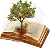 New Astrology Reports from Evolving Door Astrology!