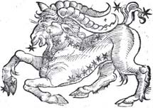 New Moon in Capricorn, the Goat