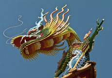 New Moon in Aquarius ~ Chinese Year of the Dragon