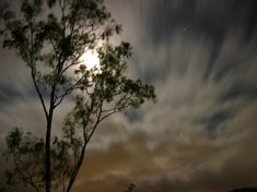 Full Moon in Aries