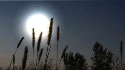 Full Moon