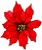 Poinsettia