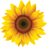 Up to 40% off all of our Astrology Reports!