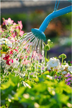 Sabian Symbol Taurus 11: A woman sprinkling flowers