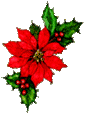 Happy Solstice!